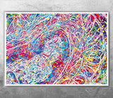 Cross section of the Cerebellum Watercolor Print Medical Art Science Neurology Brain Cell Psychiatry Art Doctor Poster Neuron Synapses-2696