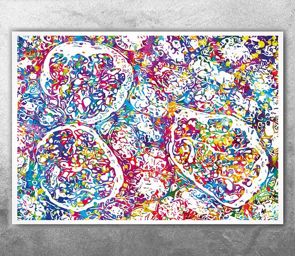 Human Kidney Tissue Anatomy Watercolor Print Organs Nephrology Clinic Decor Art Histology Urology Medical Art Doctor Urologist Art Gift-2723