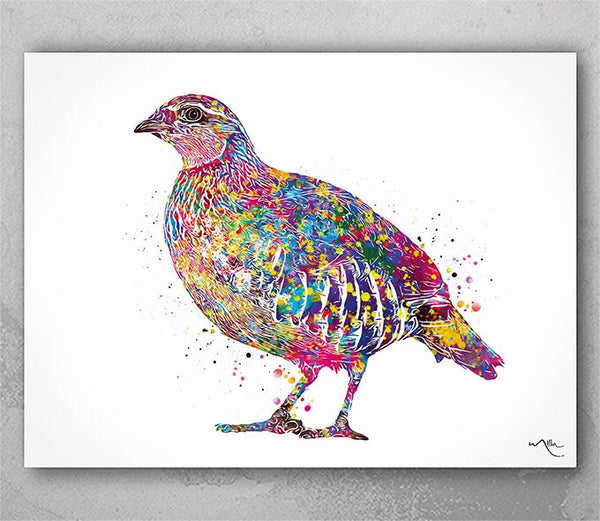 Partridge Watercolor Print British Wildlife Farm Animal Decor Duckling Valentines Gift Love Cottage Decor Watercolor Bird Print-2772