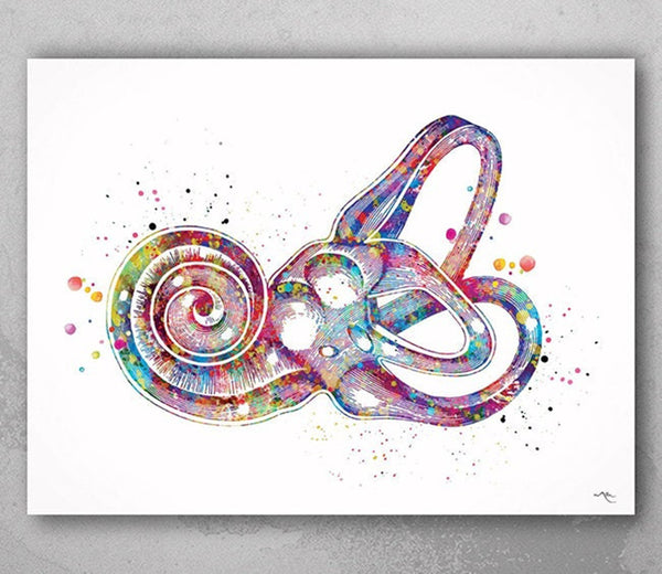 Inner Ear Labyrinth Watercolor Print Audiologist Gift Audiology Poster Ear Diagram Anatomical Office Decor Medical Art Histology Art-398
