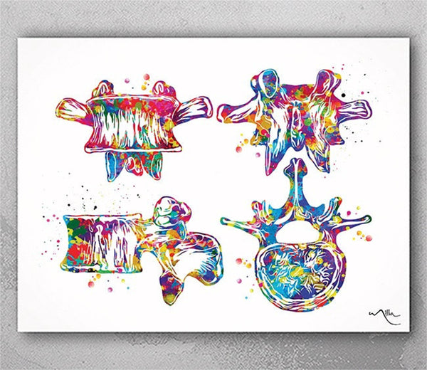 Vertebral Bone Watercolor Print Vertebral Column Cervical Vertebrae Medical Art Chiropractic Decor Clinic Skeletal System Orthopedic-202