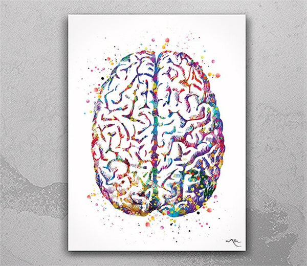 Brain Anatomy Watercolor Print Medical Art Science Art Anatomy Art Neurology Human Brain Doctor Gift Nurse Science Poster Psychological -971
