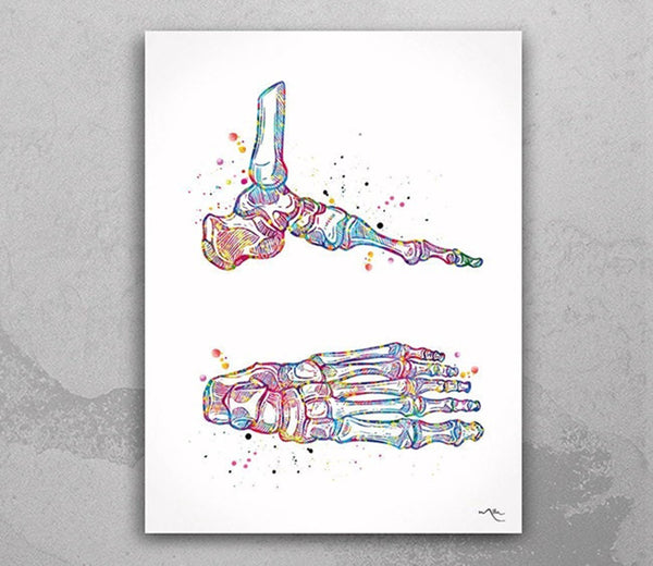 Foot and Ankle Watercolor Print Human Skeletal Medical Art Science Art Chiropractic Orthopedic Office Clinic Foot Bones Anatomy Decor-297
