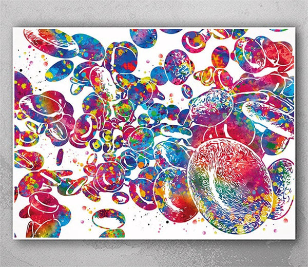 Red Blood Cells Watercolor Print Blood Histology Science Haematology Medical Art Haematologist Wall Art Office Laboratory Clinic Decor-2375
