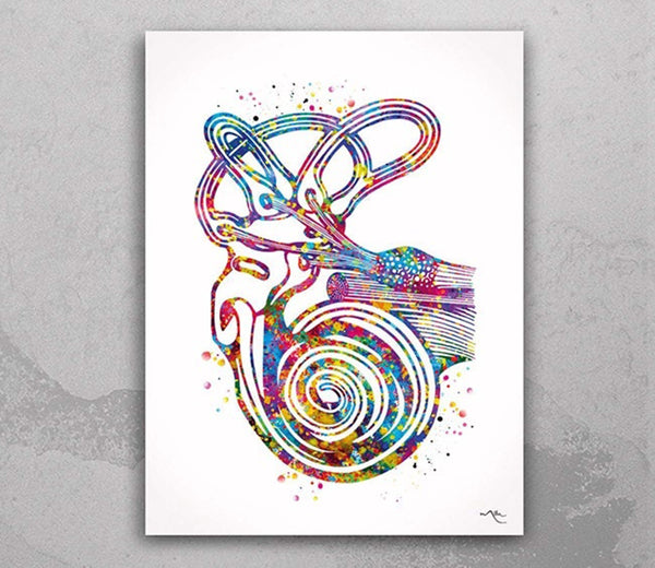Semicircular Canals Ear Watercolor Print Audiologist Gift Audiology Ear Diagram Anatomical Office Decor Clinic Medical Art ENT Doctor-1638