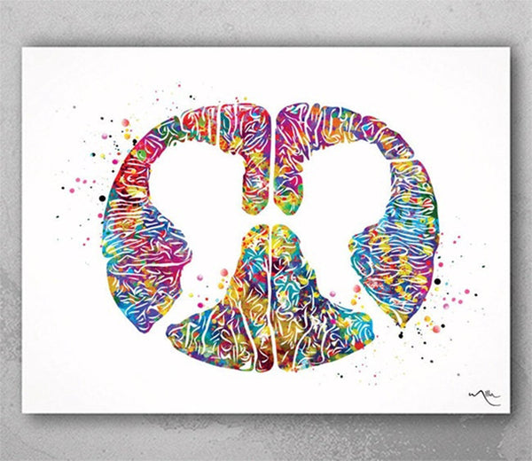 Lumbar Spinal Cord Cross Section Watercolor Print Medical Art Neurology Neurosurgeon Art Neurologist Wall Hanging Doctor Office Decor-1233