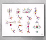 Neurons Art Watercolor Print Motor Pyramidal Purkinje Neuron Cell Neurology Medical Art Brain Anatomy Neuroscience Neurologist Clinic-183