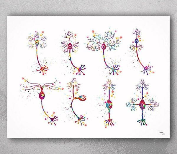 Neurons Art Watercolor Print Motor Pyramidal Purkinje Neuron Cell Neurology Medical Art Brain Anatomy Neuroscience Neurologist Clinic-183