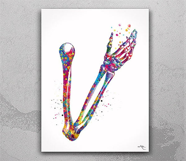Arm Anatomy Skeletal System Watercolor Print Arm Bone Human Body Anatomy Art Medical Art Wall Hanging Graduation Gift Clinic Decor Gift-1040