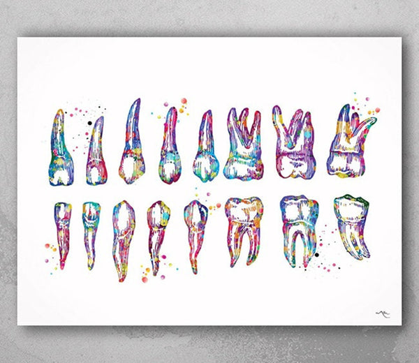 Teeth Diagram Watercolor Print Tooth Anatomical Art  Tooth Chart Dental Clinic Decor Dentistry Medical Art Dentist Office Doctor Art-160