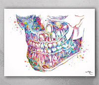 Orthognathic Anatomy Watercolor Print Teeth Anatomy Art Medical Cabinet Office Dental Clinic Art Dentistry Surgery Dentist Mandible Art-194