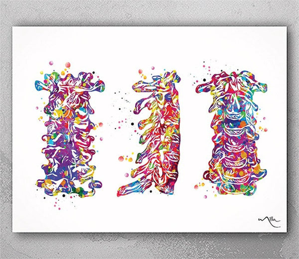 Cervical Spine Watercolor Print Anatomy Art Cervical Vertebrae Medical Art Vertebral Bones Office Decor Skeletal System Orthopedic Art-1228