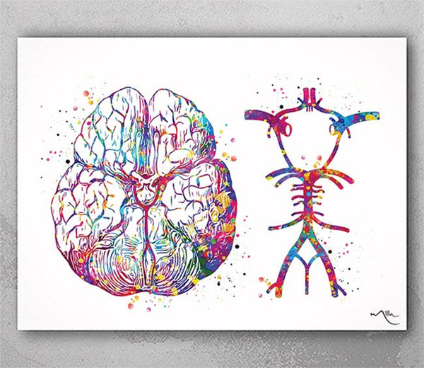 Circle Of Willis Watercolor Print Arteries Brain Medical Art Neurologist Office Wall Art Neurology Cerebral Neuroscience Wall Hanging-362