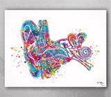 Ear Anatomy Watercolor Print Audiologist Gift Audiology Poster Science Art Ear Diagram Anatomical Clinic Decor Medical Art Ear Poster-1064