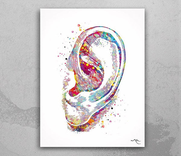 Ear Watercolor Print Human Ear Audiologist Gift Audiology Poster Science Art Ear Diagram Ear Poster Anatomical Office Decor Medical Art-1202