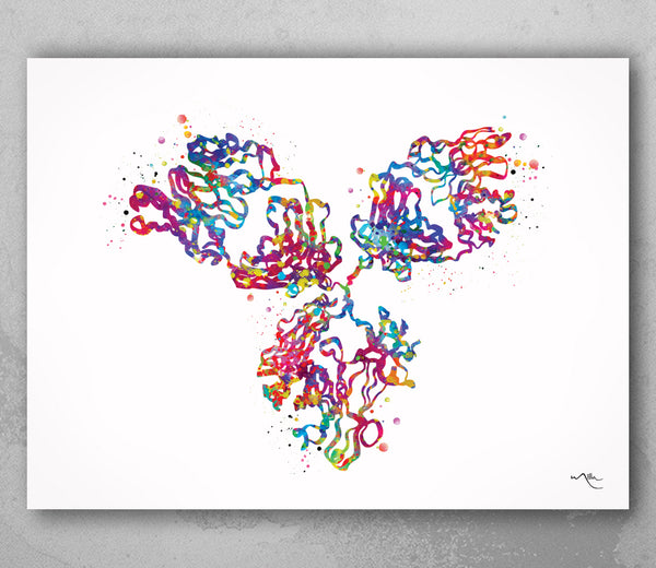 Antibody Structure Watercolor Print Antibodies Medical Art immunology Immunoglobulin immune system IgG CANVAS Doctor Office Clinic Art-1812