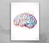 Neurosurgeon Watercolor Print Set Brain with Spinal Cord Brain Anatomy Medical Art Medicine Spine Art Wall Hanging Doctor Clinic Decor-993