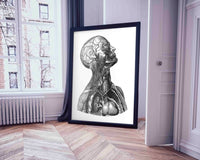 Human Anatomy Watercolor Print Torso Anatomical Decor Medical Art Human Anatomy Art Print Clinic Office Decor Doctor Print Wall Hanging-1728