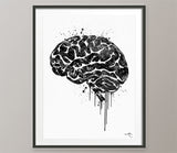 Brain Anatomy Watercolor Print Medical Art Science Art Wall Decor Wall Art Neurology Human Brain Doctor Gift Science Poster Wall Hanging-107