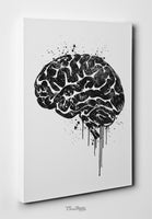 Brain Anatomy Watercolor Print Medical Art Science Art Wall Decor Wall Art Neurology Human Brain Doctor Gift Science Poster Wall Hanging-107
