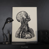 Human Anatomy Watercolor Print Torso Anatomical Decor Medical Art Human Anatomy Art Print Clinic Office Decor Doctor Print Wall Hanging-1728