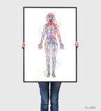 Female Nervous System Watercolor Print Circulatory System Human Veins Anatomy Medicine Art Neurology Clinic Office Wall Art Medical Art-1840
