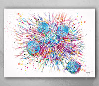 T-Cells Watercolor Print Immune Cells Medical Art Science Histology T Cell Attacking Cancer Art Oncology immunology Clinic Office Chemo-1807