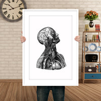 Human Anatomy Watercolor Print Torso Anatomical Decor Medical Art Human Anatomy Art Print Clinic Office Decor Doctor Print Wall Hanging-1728
