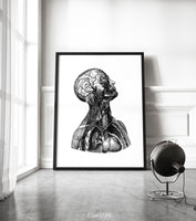 Human Anatomy Watercolor Print Torso Anatomical Decor Medical Art Human Anatomy Art Print Clinic Office Decor Doctor Print Wall Hanging-1728