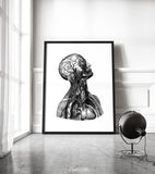 Human Anatomy Watercolor Print Torso Anatomical Decor Medical Art Human Anatomy Art Print Clinic Office Decor Doctor Print Wall Hanging-1728