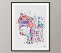 Human Head Cross Section Anatomy Watercolor Print Clinic Decor Respiratory System Dental Medical Art Science Art Mouth Nose Anatomy-153 - CocoMilla