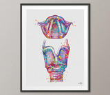 Larynx and Vocal Cord Watercolor Print Medical Art Anatomy Art Audiologist ENT Poster Science Art Speech Therapy Office Cabinet Decor-171 - CocoMilla
