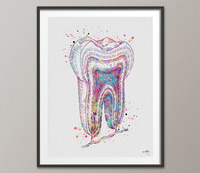 Dental Office Decor Watercolor Print Set of 4 Teeth Tooth Dentist Dental Clinic Decor Gift Medical Art Dentistry Art Anatomy Orthodontist-19 - CocoMilla