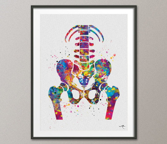 Pelvis and Vertebrae Watercolor Print Sacrum Hip Anatomy Orthopedic Skeletal System Femur Medical Art Poster Clinic Spine Doctor Cabinet-197 - CocoMilla