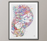 Pregnancy Watercolor Print Womb Pregnancy Anatomy Gynecology Obstetrician Nursing Midwife Baby Fetus Medical Art Clinic Doctor Gift-1096 - CocoMilla