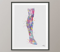 Leg Anatomy Watercolor Print Orthopedic Knee Ankle and Foot Leg Muscles Physiotherapists Office Decor Medical Art Chiropractic Clinic-1368 - CocoMilla