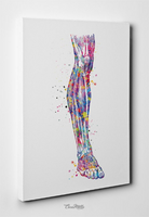 Leg Anatomy Watercolor Print Orthopedic Knee Ankle and Foot Leg Muscles Physiotherapists Office Decor Medical Art Chiropractic Clinic-1368 - CocoMilla