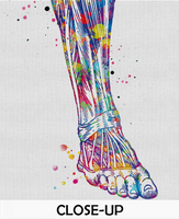 Leg Anatomy Watercolor Print Orthopedic Knee Ankle and Foot Leg Muscles Physiotherapists Office Decor Medical Art Chiropractic Clinic-1368 - CocoMilla