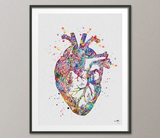 Heart Anatomy Watercolor Print Cardiology Decor Medical Art Print Science Art Print Laboratory Wall Decor Doctor Print Nerd Wall Hanging-969 - CocoMilla