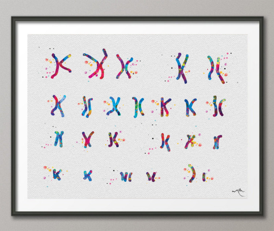 Male Chromosome Down Syndrome Watercolor Print Karyotype 21st Chromosome Medical Art Decor Wall Art Nurse Gift Laboratory Science Genetic-73 - CocoMilla