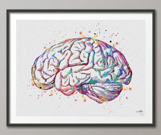 Brain Anatomy Watercolor Print Medical Art Science Art Graduation Gift Anatomy Neurology Human Brain Nurse Science Poster Psychological-972 - CocoMilla