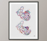 Cochlea of Inner Ear Anatomy Watercolor Print Audiologist Gift Audiology Art Science Art Ear Diagram Clinic Decor Vestibule Medical Art-1085 - CocoMilla
