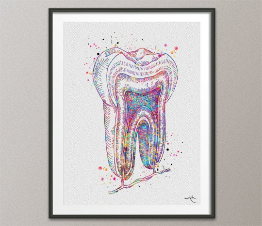 Tooth cross section Watercolor Print Molar Tooth Anatomical Art Dental Clinic Decor Dentistry Student Science Dentist Office Gift Poster-729 - CocoMilla