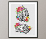 Brain Floral Watercolor Print Flowers Cerebrum Medical Art Neurology Doctor Gift Nurse Psychology Clinic Office Decor Neuroscience Art-1352 - CocoMilla