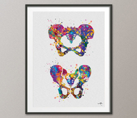 Pelvis Art Watercolor Print Male Female Human Pelvis Bone Hip Anatomy Orthopedic Skeletal System Medical Art Cabinet Doctor Office Decor-278 - CocoMilla