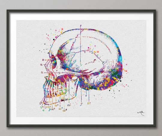 Skull and Tooth Watercolor Print Tooth Anatomy Art Vintage Art Dental Clinic Decor Art Dentistry Student Surgery Dentist Gift Doctor Art-159 - CocoMilla