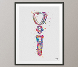 Dental Implant Art Watercolor Print Tooth Anatomical Dental Clinic Decor Dentistry Student Science Graduaiton Dentist Gift Doctor Art-317 - CocoMilla