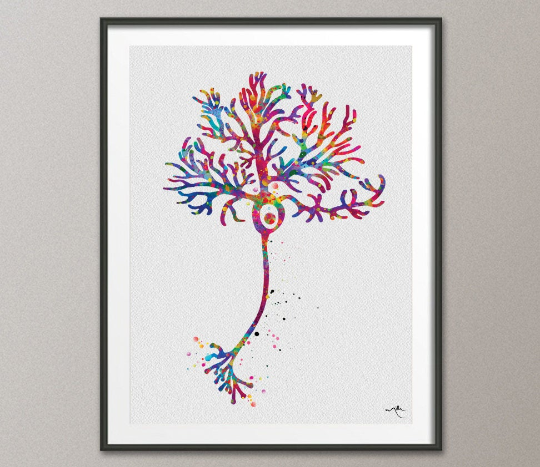 Purkinje Cell Neuron Watercolor Print Science Art Poster Neurology Medical Art Brain anatomy Neuroscience Neurologist Clinic Decor Gift-1062 - CocoMilla