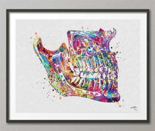 Human Jaw Anatomy Watercolor Print Orthognathic Surgery Mandible and Maxilla Medical Art Dental Art Clinic Dentistry Office Dentist Decor-97 - CocoMilla