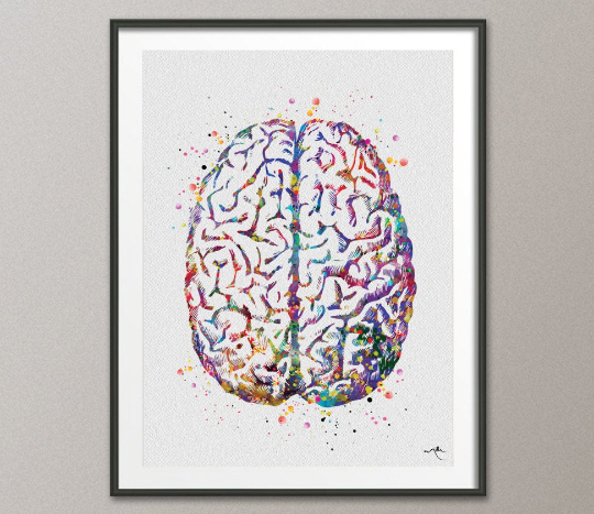 Brain Anatomy Watercolor Print Medical Art Science Art Anatomy Art Neurology Human Brain Doctor Gift Nurse Science Poster Psychological -971 - CocoMilla
